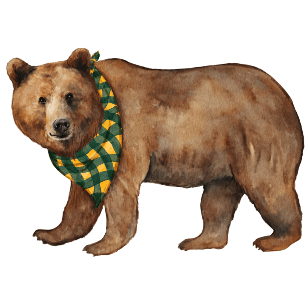 Baylor Spirit Acrylic Block