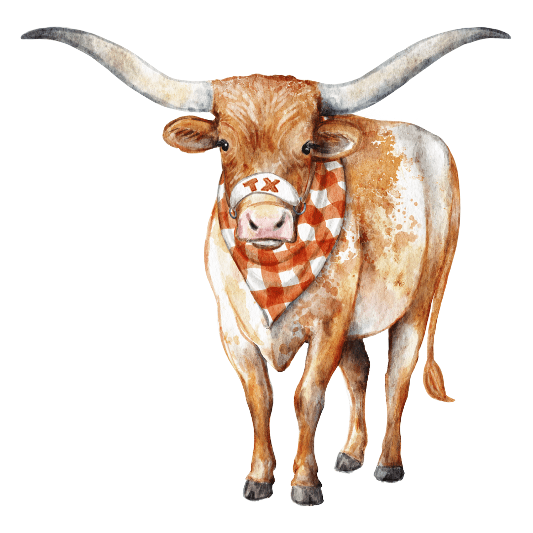 Longhorn Spirit Acrylic Block