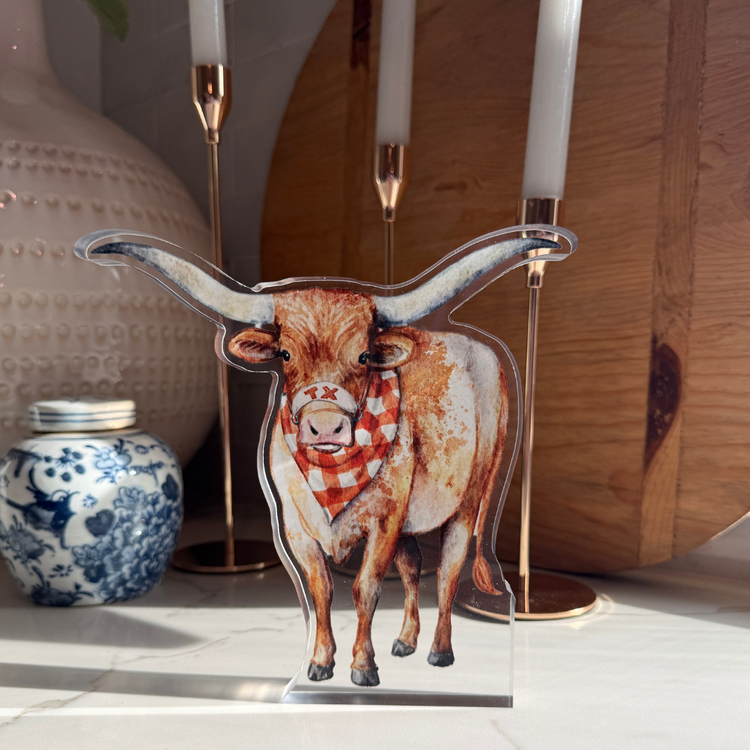 Longhorn Spirit Acrylic Block