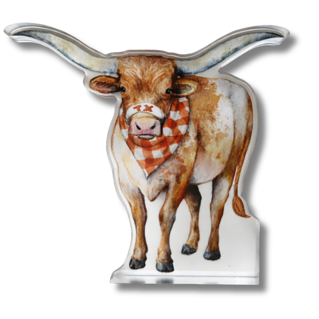 Longhorn Spirit Acrylic Block